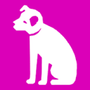HMV Store